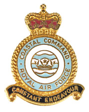 Vintage Queens Crown Coastal Command Squadron RAF Royal Air Force Enamel Badge