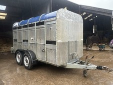 Graham Edwards 12ft Cattle