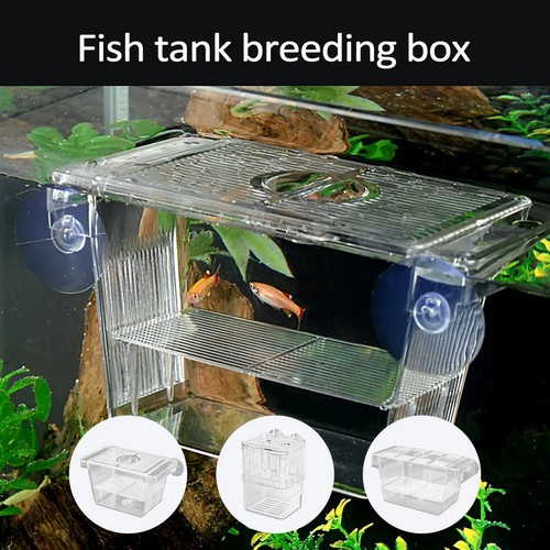Aquarium fish breeder box - breeder,