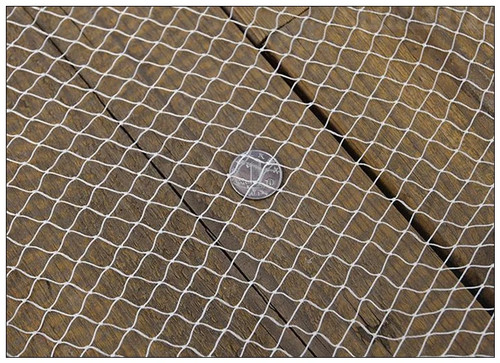 Finefish strong nylon line - nylon,