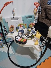 Fisher-Price Baby Bouncer Palm