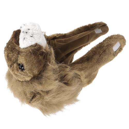 Party dress hat lion style - party,