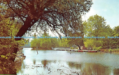 R292076 middlesborough albert - middlesborough,