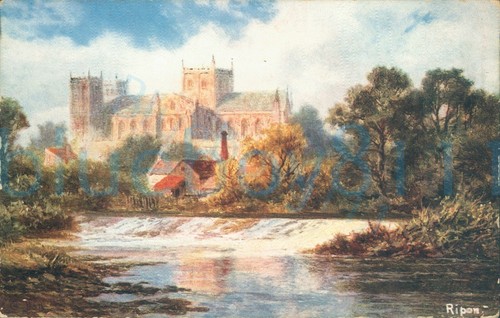 Ripon hildesheimer 5410 - ripon,