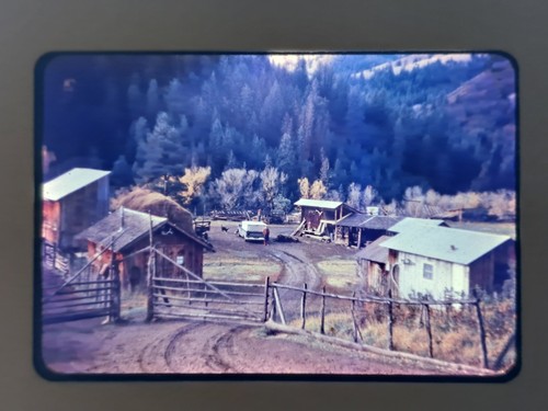 Vintage 35mm color - vintage, slide