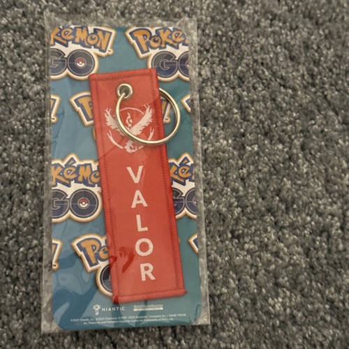 Official pokémon keychains - pokémon, go