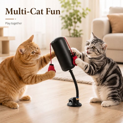 Cartoon cat boxing - cartoon,