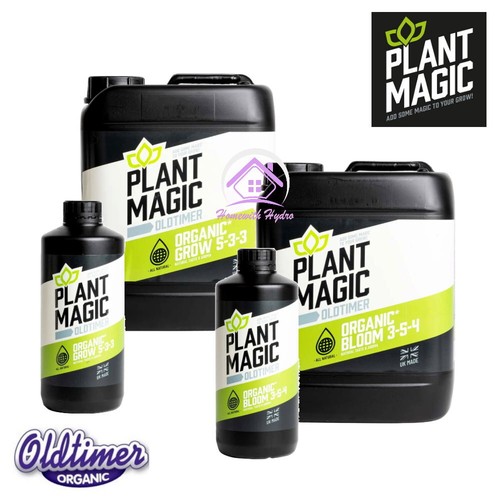 Plant magic old timer - plant,