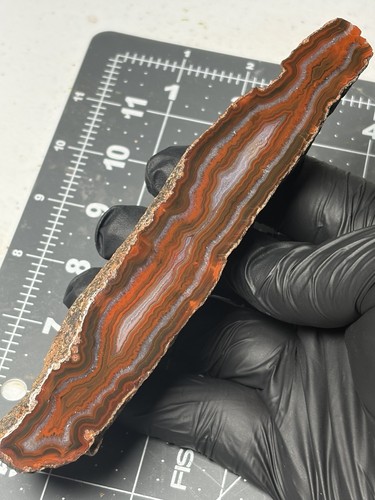 Stunning condor seam agate - seam,