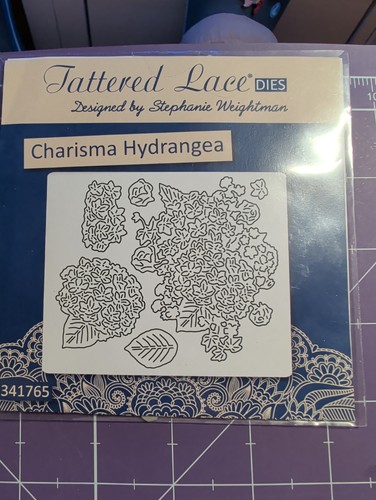 New tattered lace die - new,