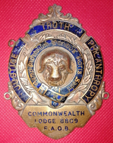 Raob buffaloes brass blue - raob,