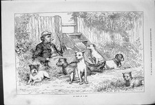 Original Old Antique Print Want Job Dogs Man Outdoor Scene Dadd 1878 Victorian