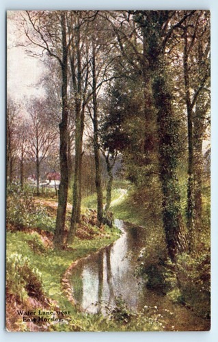 Postcard east horsley water - -,