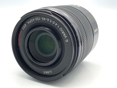 Panasonic lumix vario - g,