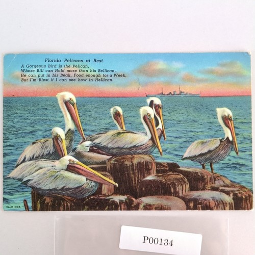 Vintage florida litho postcard - vintage,
