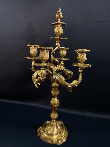 Gilded bronze grand chandelier - bronze,