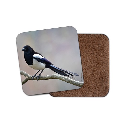Beautiful magpie coaster - magpie,