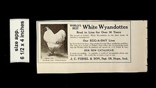 1921 White Wyandottes Chicken