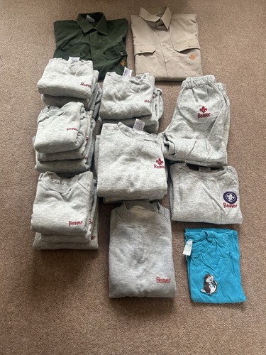 Vintage grey beaver scout - vintage,