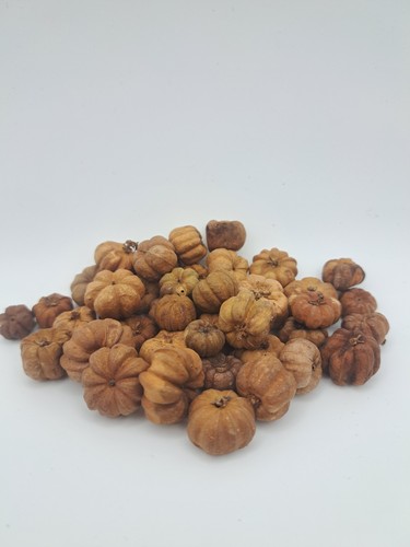 X10 putka pods - pods, craft