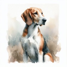 FOXHOUND Fox Watercolour