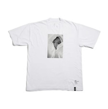 Girl skateboards bjork - skateboards,