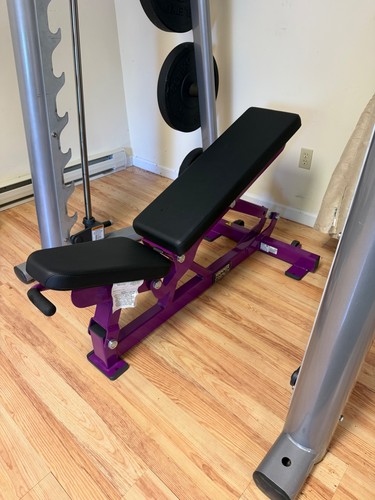 Hammer strength life fitness - life,