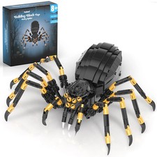 Creative Wild Animals Spider