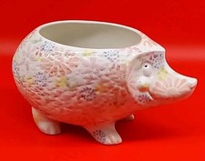 Park Rose Bridlington Hedgehog