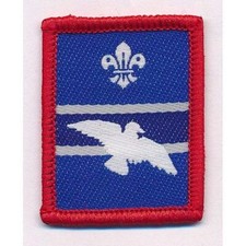 Scouts woodpigeon patrol badge - woodpigeon,