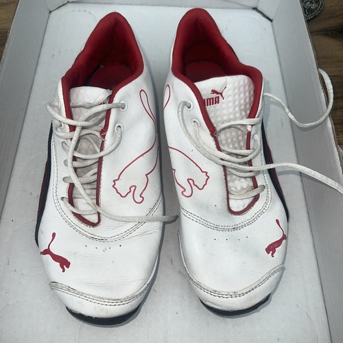 Puma future cat - puma,