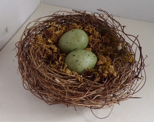 Birds nest pick with - birds,