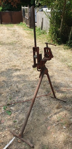 Vintage hillmor type ela - vintage,