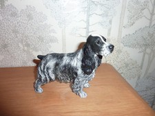 Border Fine Arts Blue Roan