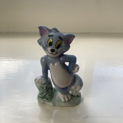 Tom the cat - cat, wade