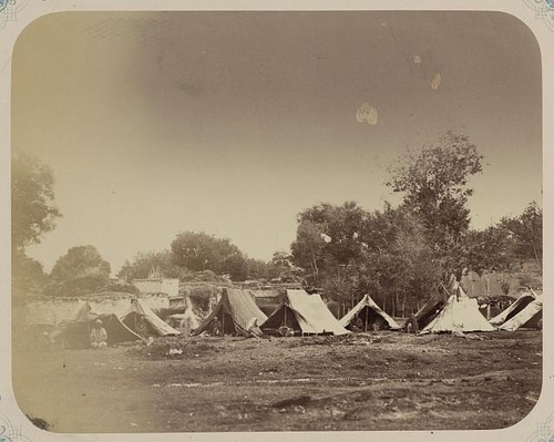 Photo gypsy encampment dzhugi - photo:gypsy, encampment,dzhugi