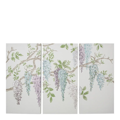 Laura ashley wisteria - laura, garden
