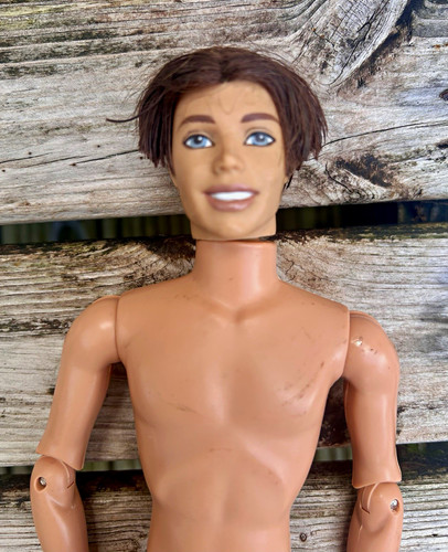 Barbie princess the - barbie,