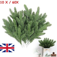 10-60X Pine Needles Plant
