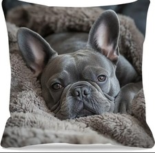 French Bull Dog Cushion Cover