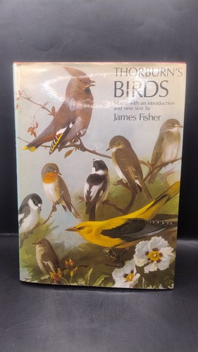 Thorburns birds 1972 vintage - birds,