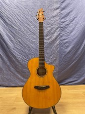 Breedlove Discovery CE and Gig