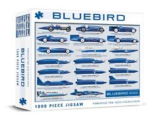 Donald Campbell - Bluebird