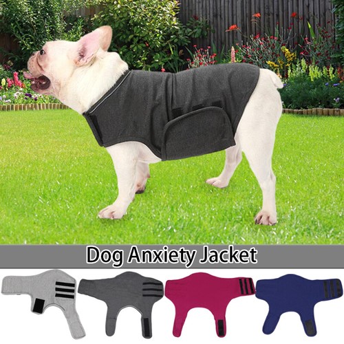 Dog anxiety jacket - jacket, vest