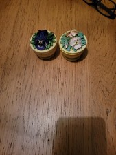 2 Decorative Primrose