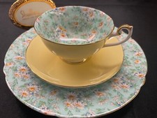 SHELLEY  MARGUERITE CHINTZ