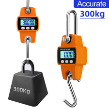 300kg Mini Crane Scale