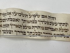 BEAUTIFUL Tefillin Parchment