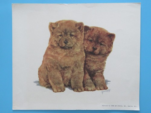 Vintage original 1950 - original, 1950's