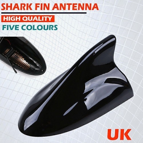 Gloss black shark fin - shark,